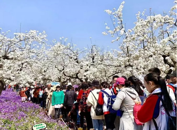 持之以恒規(guī)范旅游市場秩序，堅(jiān)定不移維護(hù)良好旅游形象(圖3)