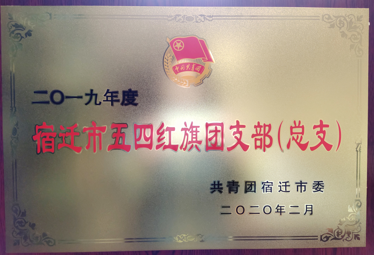 市文旅集團獲評“宿遷市五四紅旗團委” “宿遷市五四紅旗團支部（總支）”(圖2)