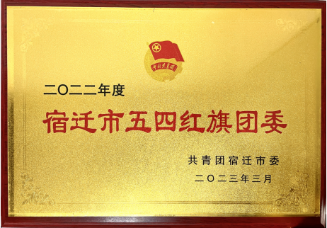 喜報(bào)！宿遷文旅集團(tuán)共青團(tuán)工作榮獲多項(xiàng)榮譽(yù)(圖2)