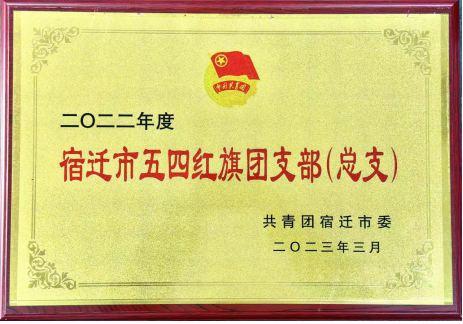 喜報(bào)！宿遷文旅集團(tuán)共青團(tuán)工作榮獲多項(xiàng)榮譽(yù)(圖3)
