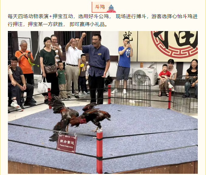 國慶文旅嘉年華，嗨翻假期樂不停！(圖4)