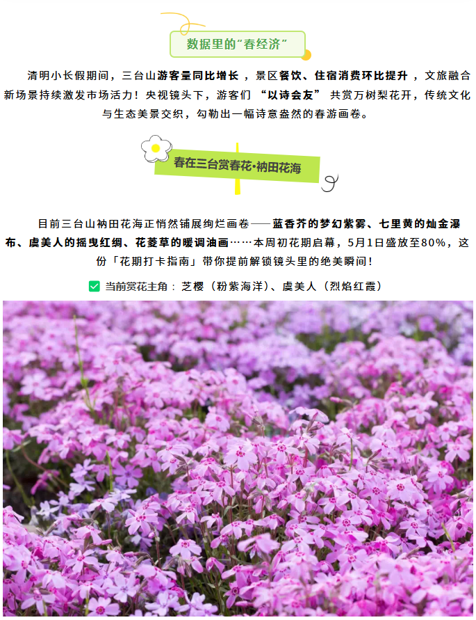 三臺山榮登央視報(bào)道！萬樹繁花引客來，數(shù)據(jù)見證經(jīng)濟(jì)向好(圖2)