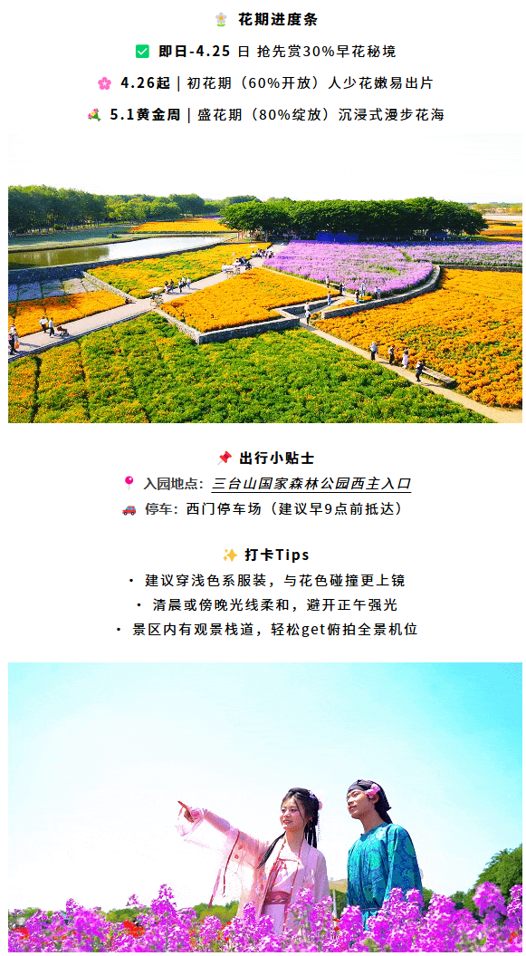 三臺山榮登央視報(bào)道！萬樹繁花引客來，數(shù)據(jù)見證經(jīng)濟(jì)向好(圖4)